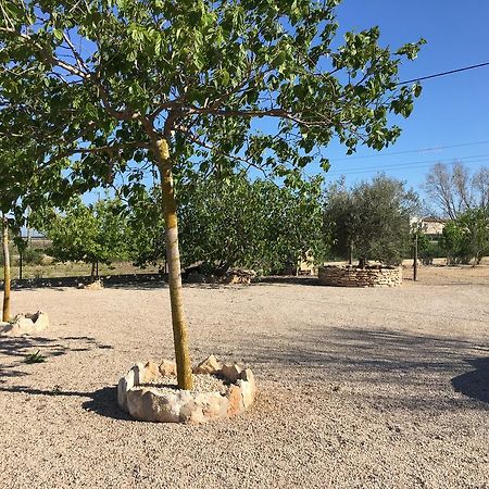 Caseta Les Creus ريومار المظهر الخارجي الصورة