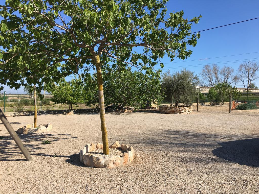 Caseta Les Creus ريومار المظهر الخارجي الصورة